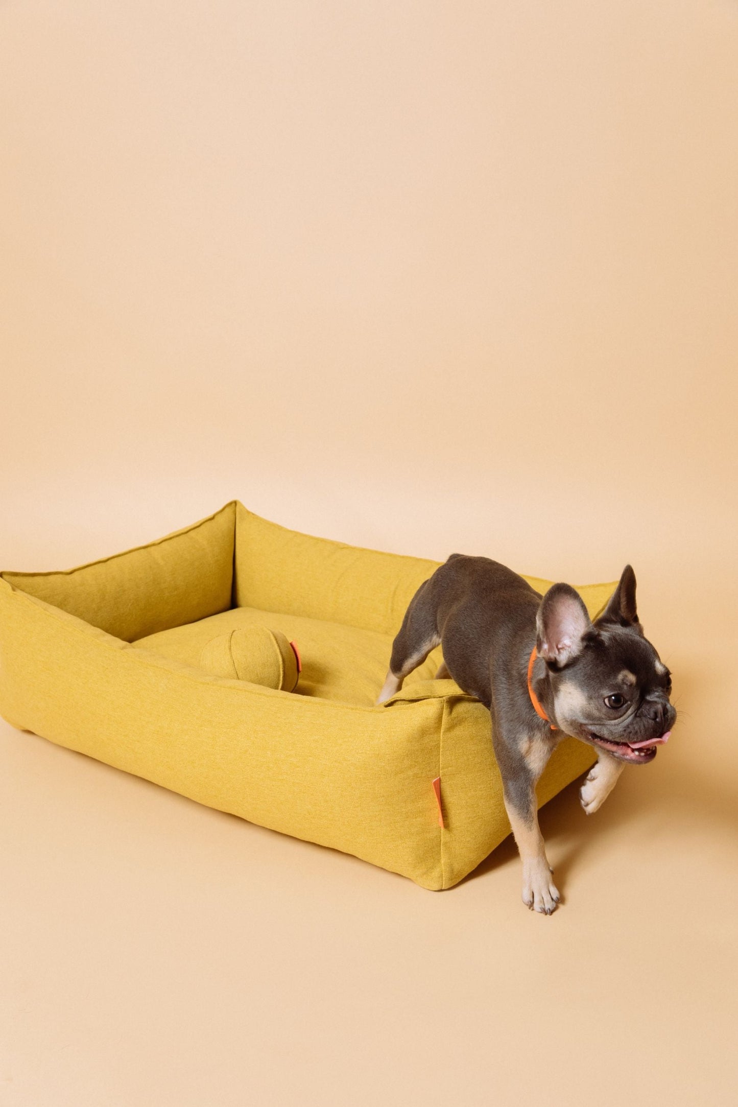 Alpine Dog Bed - Mustard by Molly And Stitch US