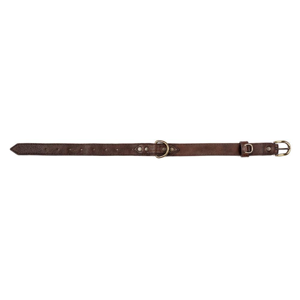 Campaign Leather Dog Collar by Mission Mercantile Leather Goods