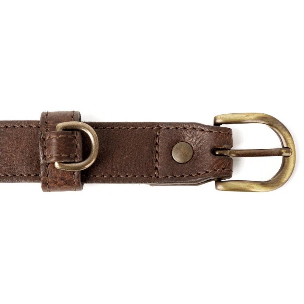 Campaign Leather Dog Collar by Mission Mercantile Leather Goods