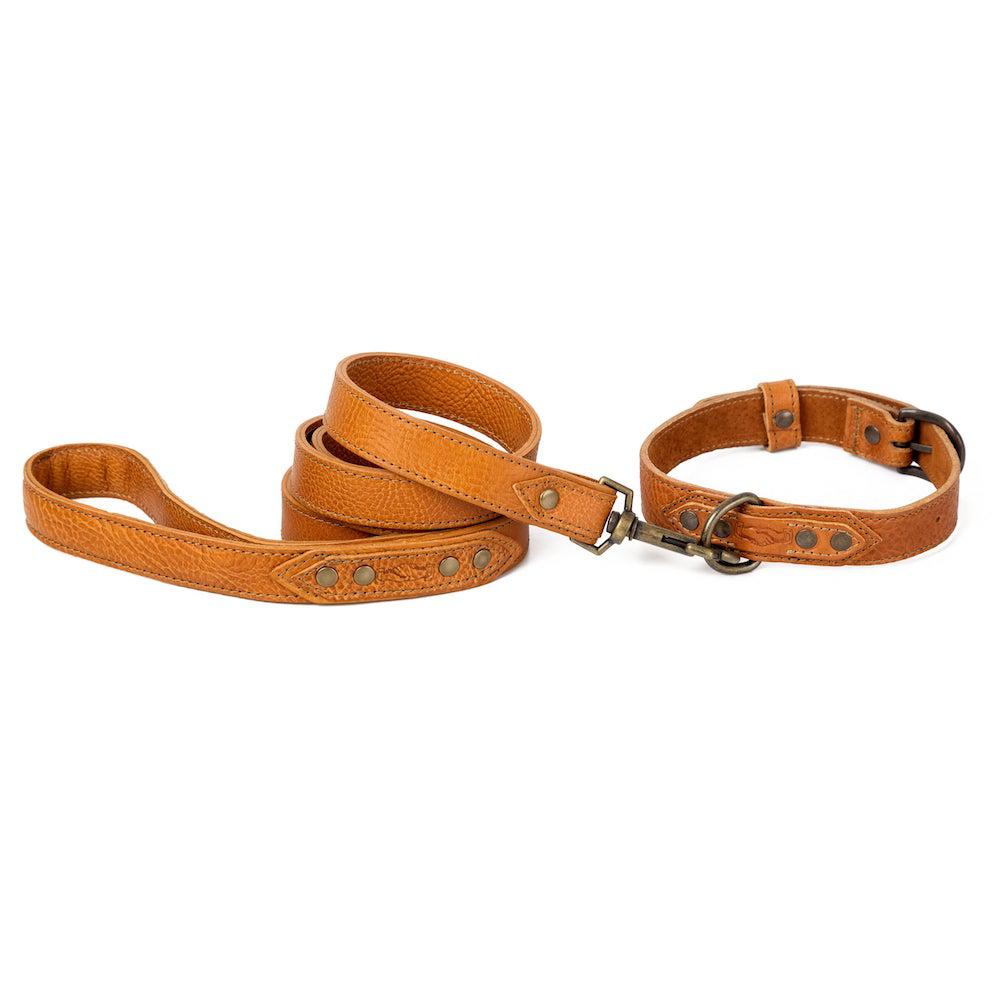 Campaign Leather Dog Leash by Mission Mercantile Leather Goods