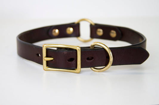 Leather Collar by RW Coolidge