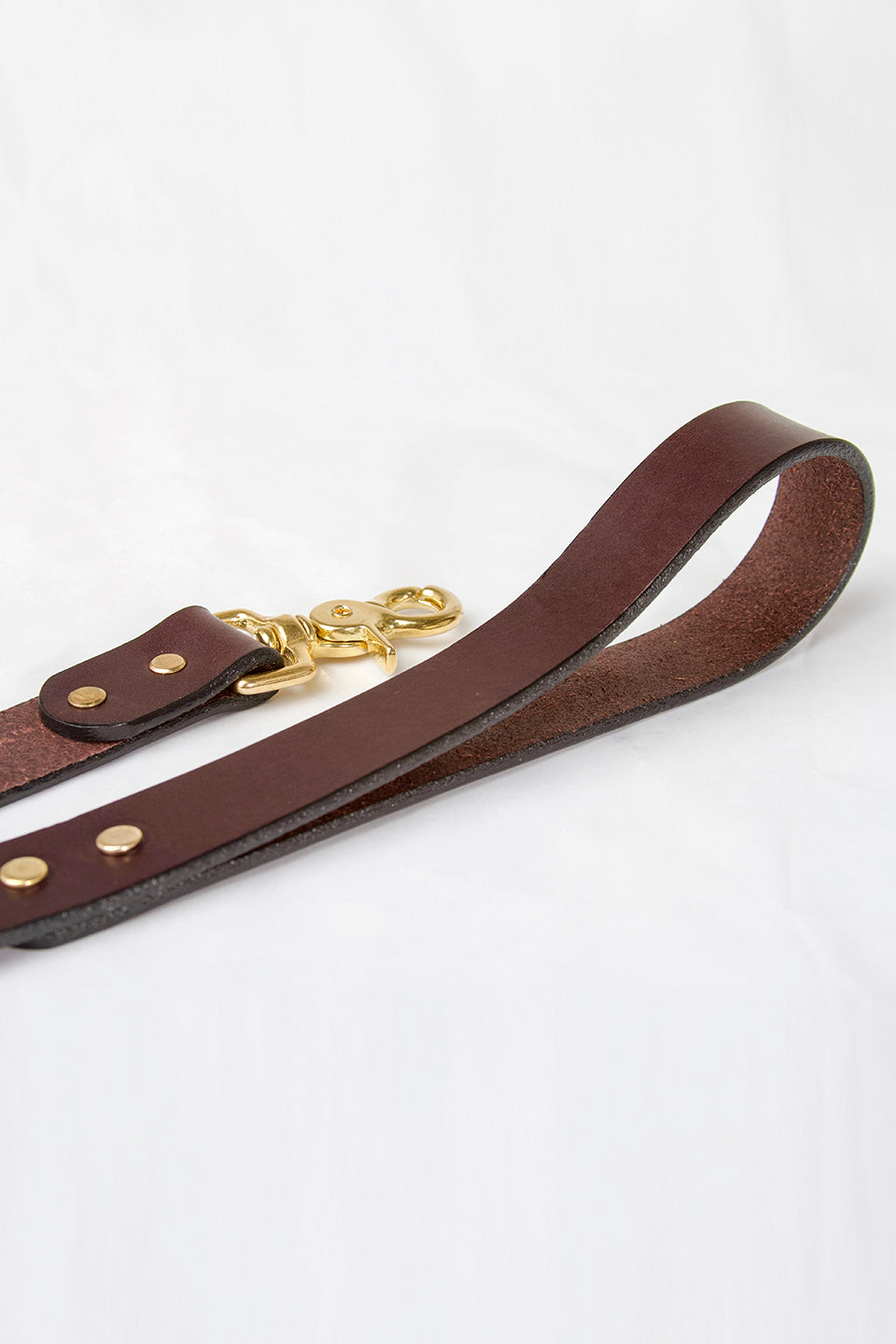 Leather Leash by RW Coolidge