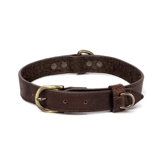 Campaign Leather Dog Collar by Mission Mercantile Leather Goods