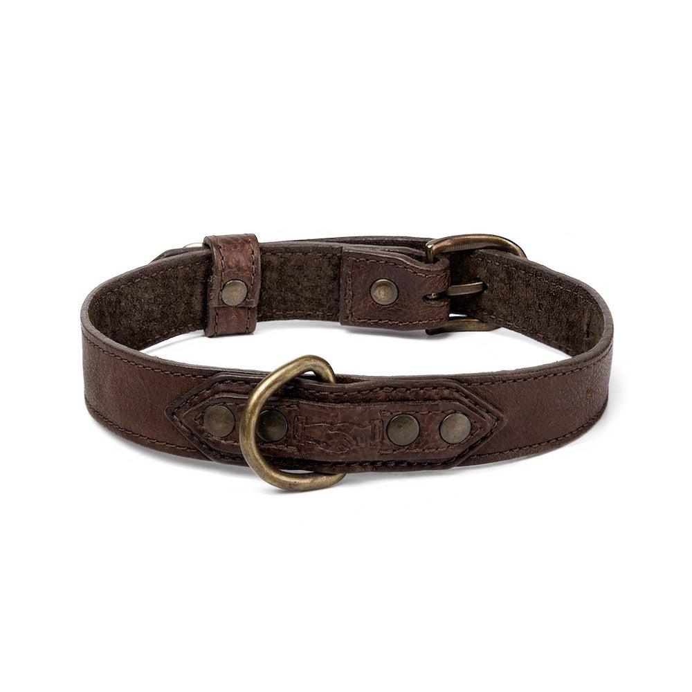 Campaign Leather Dog Collar by Mission Mercantile Leather Goods
