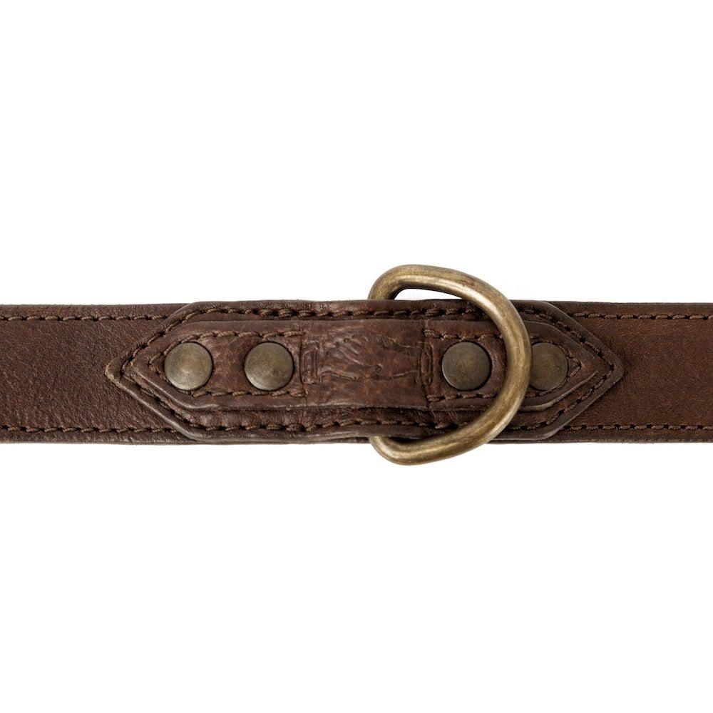Campaign Leather Dog Collar by Mission Mercantile Leather Goods